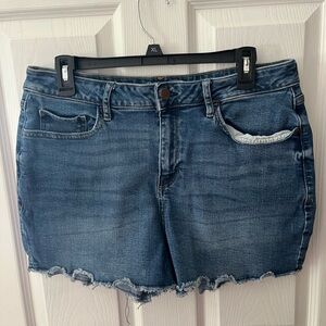 a.n.a Blue Denim Shorts